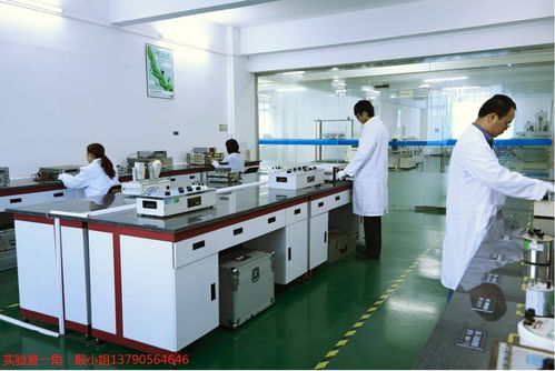 東莞工地設備計量校準下廠服務 精準外校的實踐與信息咨詢指南